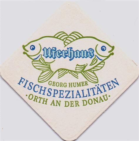 orth n-a uferhaus 1ab (raute185-fischspezialitten-grnblau)